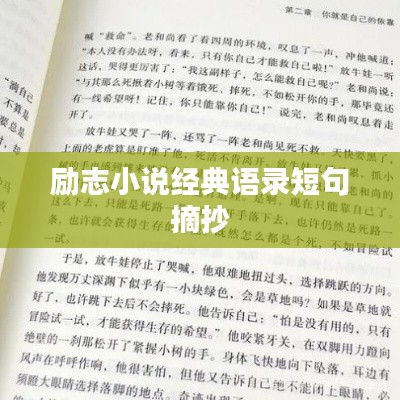 励志小说经典语录短句摘抄