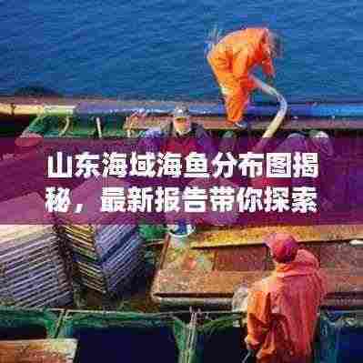 山东海域海鱼分布图揭秘,最新报告带你探索海洋宝藏
