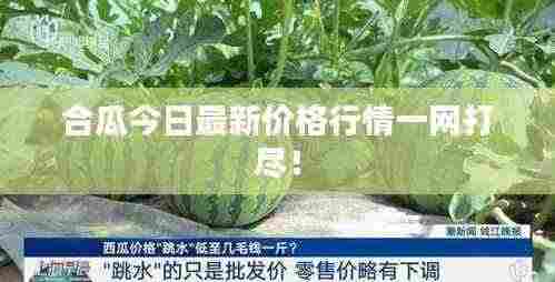 合瓜今日最新价格行情一网打尽!