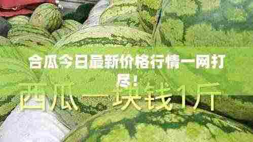 合瓜今日最新价格行情一网打尽!