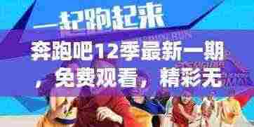 奔跑吧12季最新一期,免费观看,精彩无限!