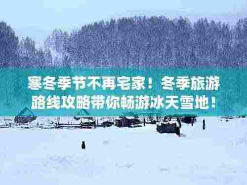 寒冬季节不再宅家!冬季旅游路线攻略带你畅游冰天雪地!