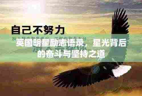 英国明星励志语录,星光背后的奋斗与坚持之道