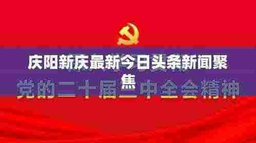 庆阳新庆最新今日头条新闻聚焦