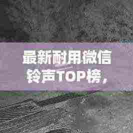 最新耐用微信铃声TOP榜,热门铃声一网打尽!