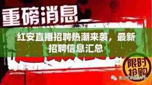 红安直播招聘热潮来袭，最新招聘信息汇总
