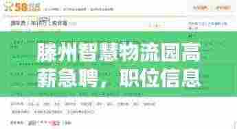 滕州智慧物流园高薪急聘，职位信息大揭秘！