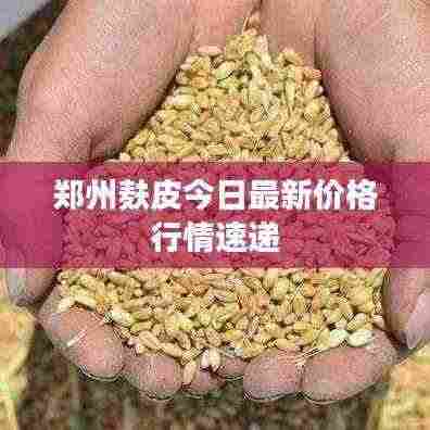 雍容雅步 第3页