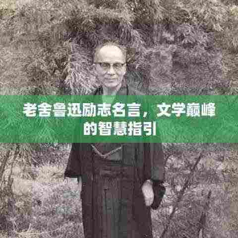 老舍鲁迅励志名言,文学巅峰的智慧指引