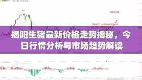 揭阳生猪最新价格走势揭秘,今日行情分析与市场趋势解读