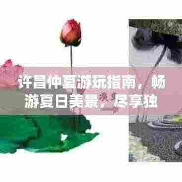 许昌仲夏游玩指南，畅游夏日美景，尽享独特风情！