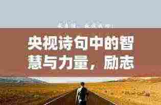 央视诗句中的智慧与力量,励志人生的启示