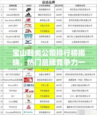 宝山鞋类公司排行榜揭晓，热门品牌竞争力一览