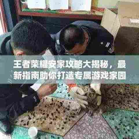 王者荣耀安家攻略大揭秘,最新指南助你打造专属游戏家园!