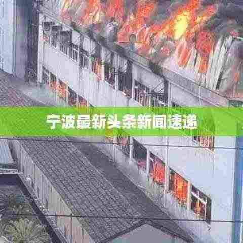 宁波最新头条新闻速递