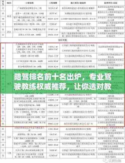 陪驾排名前十名出炉，专业驾驶教练权威推荐，让你选对教练！