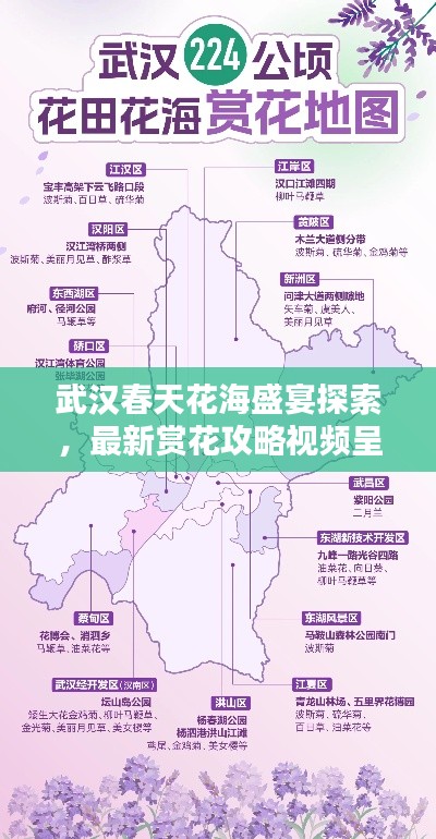 武汉春天花海盛宴探索,最新赏花攻略视频呈现!