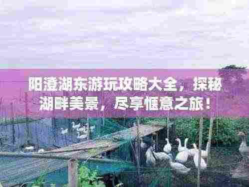 一心一意 第2页