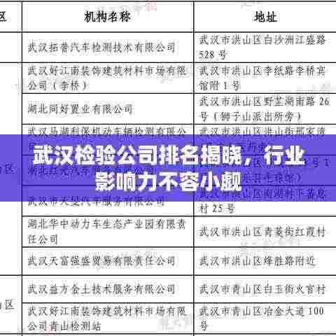 武汉检验公司排名揭晓,行业影响力不容小觑