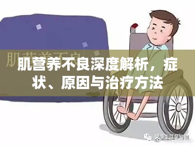 真独简贵 第3页