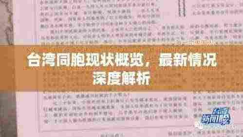 台湾同胞现状概览，最新情况深度解析
