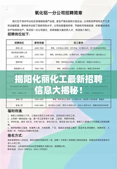 揭阳化丽化工最新招聘信息大揭秘！