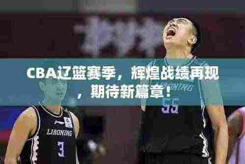 CBA辽篮赛季，辉煌战绩再现，期待新篇章！