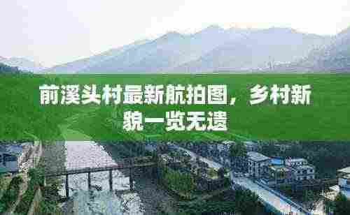 池鱼笼鸟 第3页