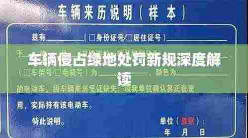 车辆侵占绿地处罚新规深度解读