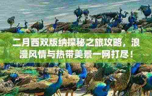 二月西双版纳探秘之旅攻略，浪漫风情与热带美景一网打尽！