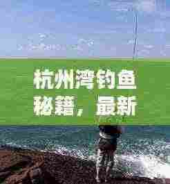 杭州湾钓鱼秘籍，最新攻略，一网打尽！
