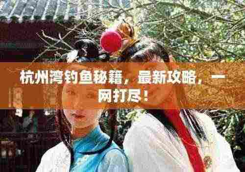 杭州湾钓鱼秘籍,最新攻略,一网打尽!