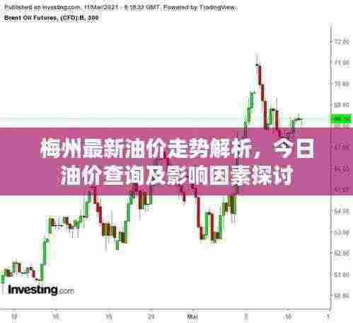 梅州最新油价走势解析,今日油价查询及影响因素探讨