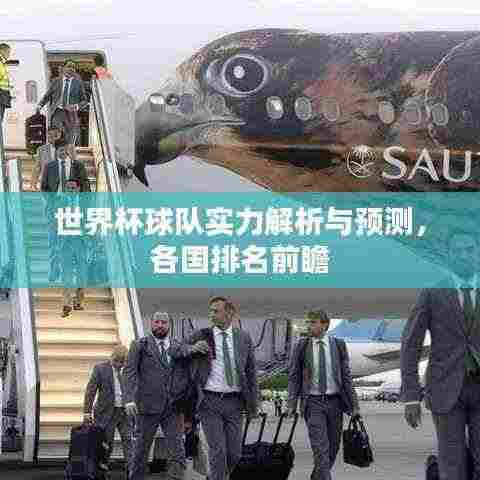 世界杯球队实力解析与预测,各国排名前瞻