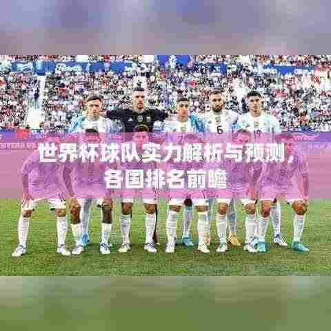 世界杯球队实力解析与预测,各国排名前瞻