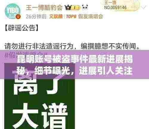 昆明账号被盗事件最新进展揭秘,细节曝光,进展引人关注