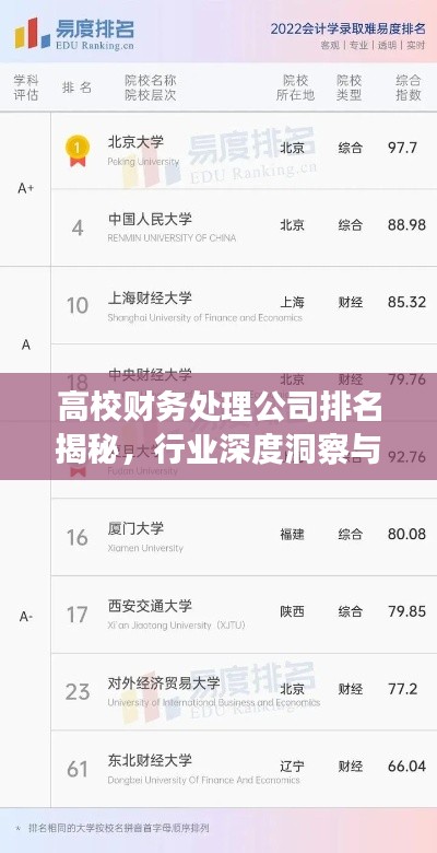 高校财务处理公司排名揭秘，行业深度洞察与解析