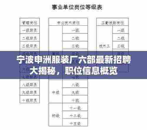 宁波申洲服装厂六部最新招聘大揭秘,职位信息概览
