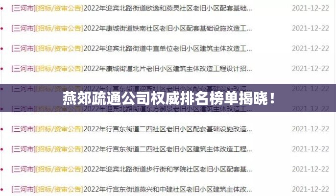 燕郊疏通公司权威排名榜单揭晓!
