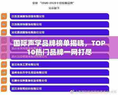 国际声学品牌榜单揭晓,TOP10热门品牌一网打尽