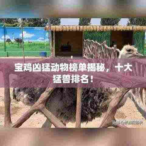 宝鸡凶猛动物榜单揭秘，十大猛兽排名！