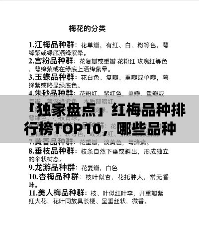 「独家盘点」红梅品种排行榜TOP10,哪些品种荣登榜单?