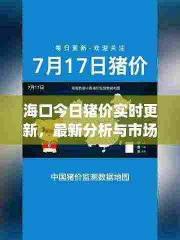 海口今日猪价实时更新,最新分析与市场动态