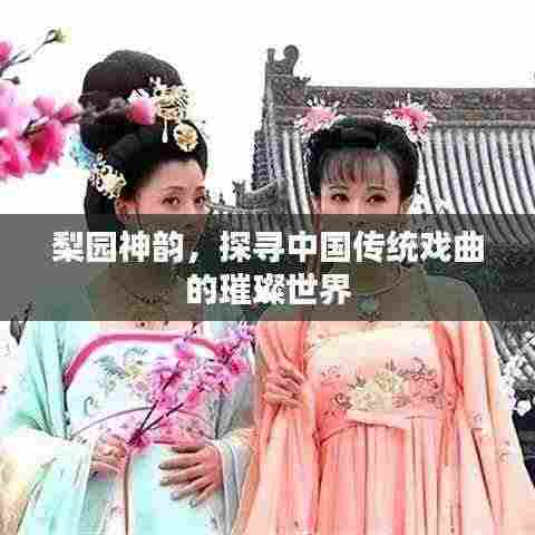 梨园神韵,探寻中国传统戏曲的璀璨世界