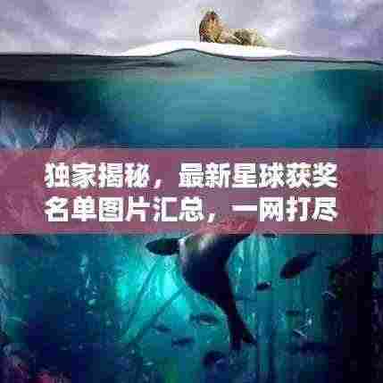 独家揭秘,最新星球获奖名单图片汇总,一网打尽!