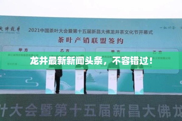 龙井最新新闻头条，不容错过！