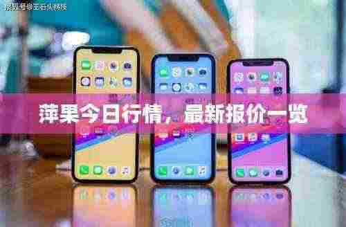 萍果今日行情,最新报价一览