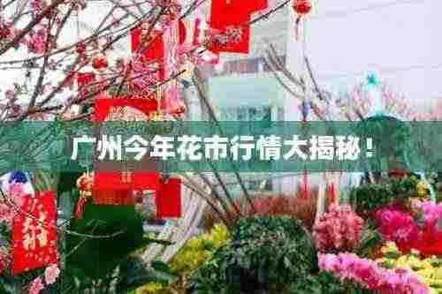 广州今年花市行情大揭秘!