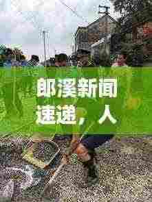 郎溪新闻速递,人事动态与地方要闻一览