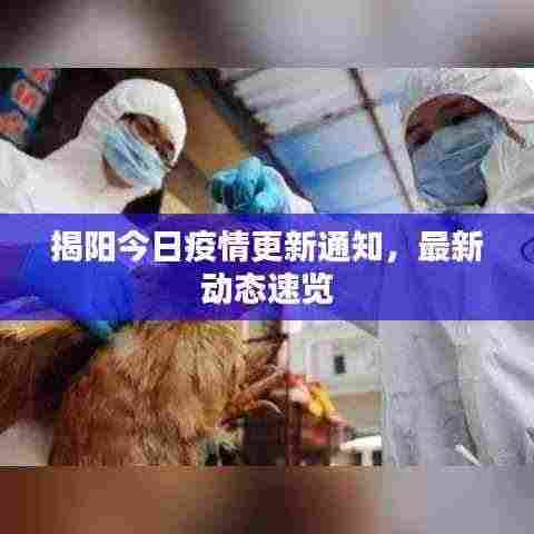 揭阳今日疫情更新通知,最新动态速览